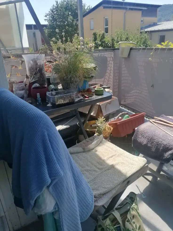 Zugestellter Balkon mit Pflanzen und Altlasten
